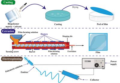 Materials based on biodegradable polymers chitosan/gelatin: a review of potential applications